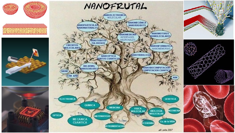 Nanofrutal: esquema en forma de árbol con aplicaciones de nanotecnología
